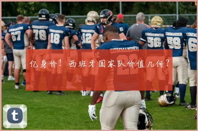 亿身价!西班牙国家队价值几何?