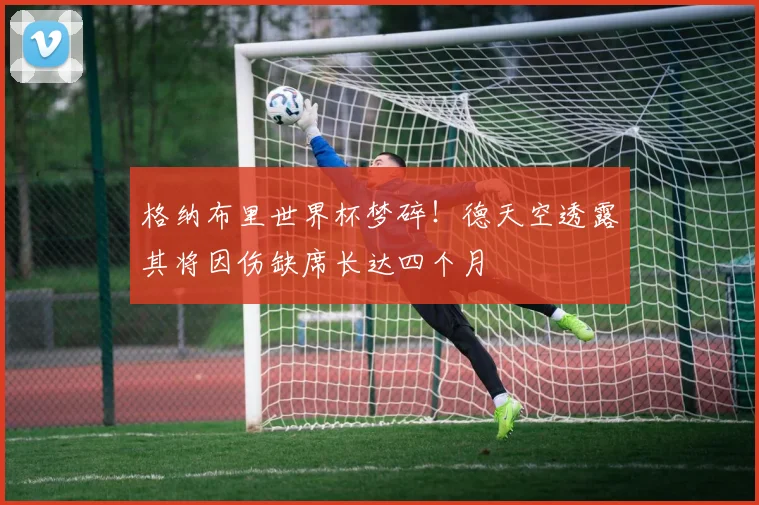 格纳布里世界杯梦碎!德天空透露其将因伤缺席长达四个月